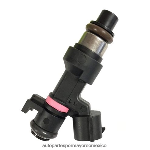 platino autopartes México - 26TP4T239 Inyector de combustible h106845 166006863r arbi845 RENAULT